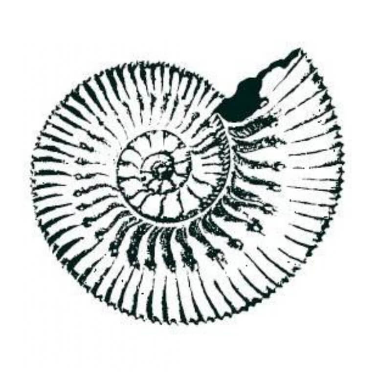 Weingut Gebrüder Mathis